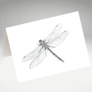 Dragonfly artwork by Tricia Hewlett on a greeting card.