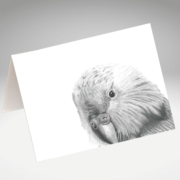 Kakapo artwork by Tricia Hewlett on a greeting card.