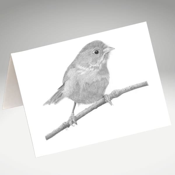 Pipipi / Brown Creeper artwork by Tricia Hewlett on a greeting card.