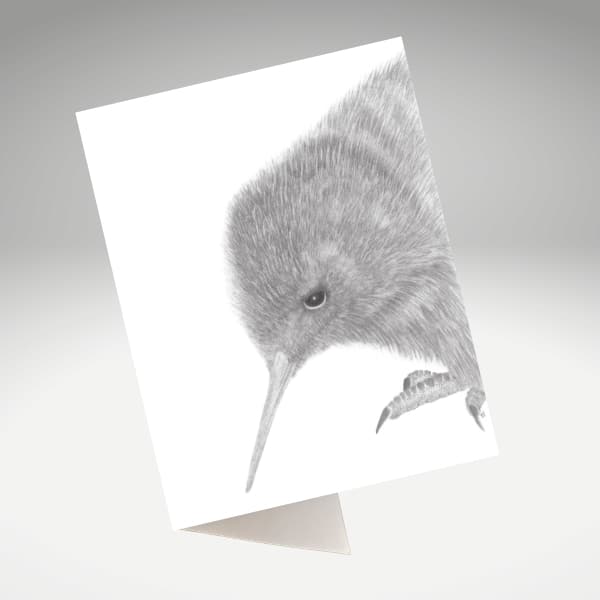 Curious Kiwi artwork by Tricia Hewlett on a greeting card.