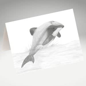 Hectors Dolphin artwork by Tricia Hewlett on a greeting card.
