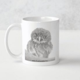 Baby Owl artwork by Tricia Hewlett on a mug