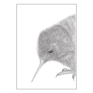 Curious Kiwi Artwork by Tricia Hewlett