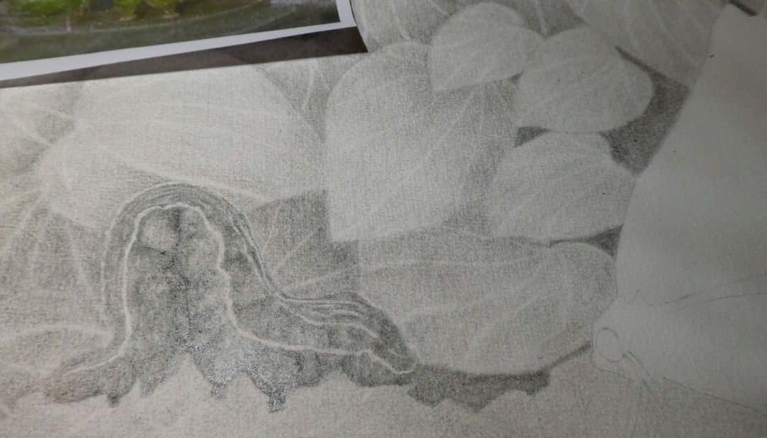 Work in Progress of Kawakawa caterpillar