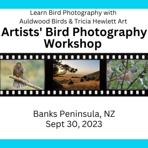 Flyer for Artists' Bird Photography Workshop with images of birds and Hinewai Reserve