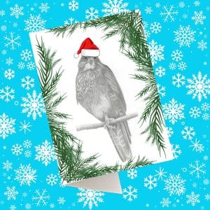 Christmas card with a NZ Falcon wearing a Xmas Hat