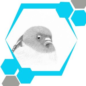 Art-Workshop-Flyers-1.5-×-1.5-cm-15-×-15-cm