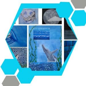 Seatheme NCEA L1 board
